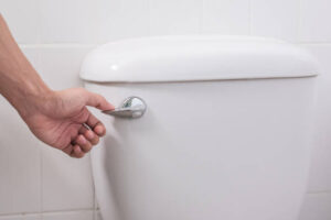 fix a flushing toilet - Wrench It Up plumbing and mechanical
