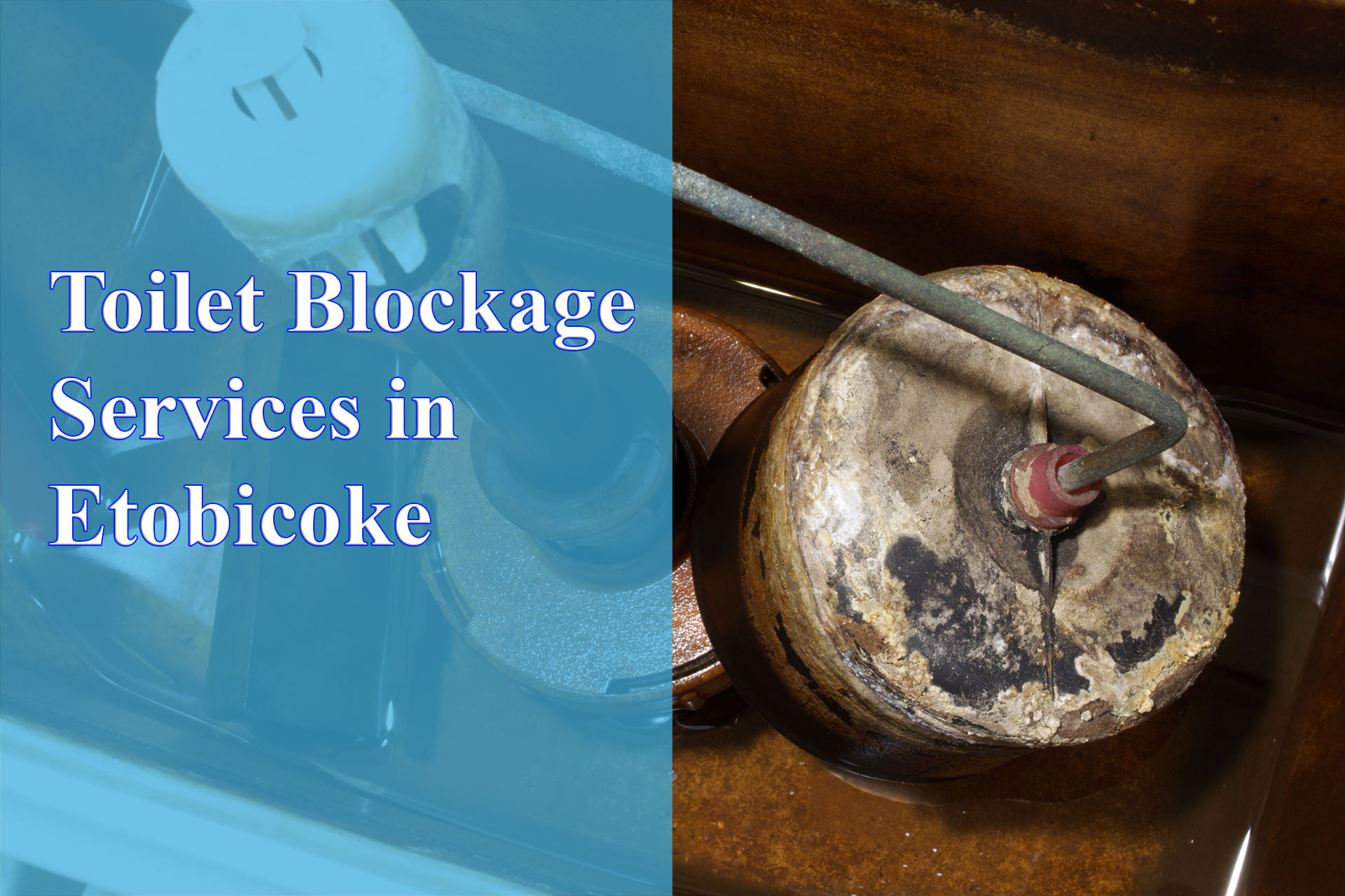 Toilet Blockage Services in Etobicoke - Wrench It Up plumbing and mechanical